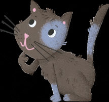 Azione_Cattolica_sbt GIF