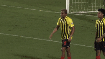 Black And Yellow Football GIF by Charleston Battery