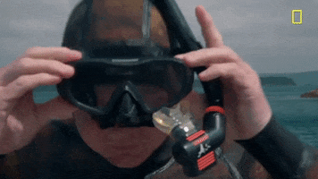 Gordon Ramsay Goggles GIF by National Geographic Channel