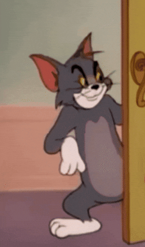 Tom And Jerry GIF