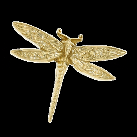 Anatometal gold piercing dragonfly anatometal GIF