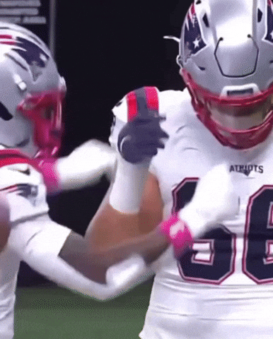 Patriots GIF