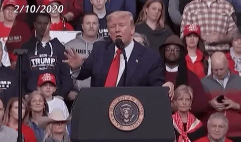Donald Trump GIF