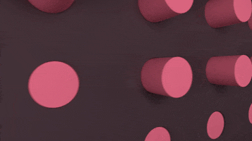 200.gif?cid=fc005b0817e143137a607cdfa10b804a89e46d3bc082ff1c&rid=200.gif&ct=g