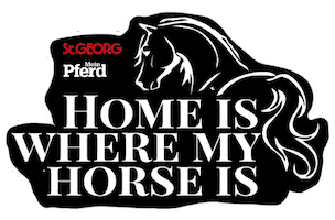 Home Jumping Sticker by St.GEORG Magazin