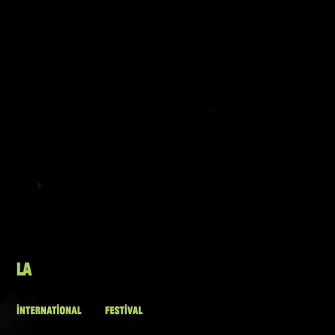 Happy Weed GIF by La Guarimba Film Festival
