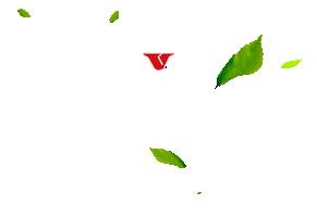 Erva-mate VIER Sticker