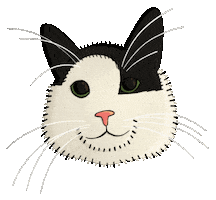 Cat Sticker