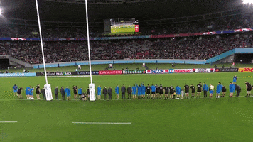 Japan Respect GIF by Rugby World Cup
