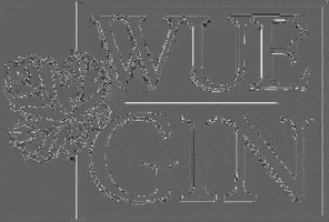 200.gif?cid=fc005b0895d7ceb63d2e146269df9187d16334a15d190d2c&rid=200.gif&ct=g