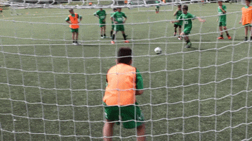 yeswecamp GIF