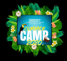 Cft Summercamp 2020 GIF by CFT