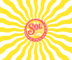 Happy Summer Sticker by cervezasolchile