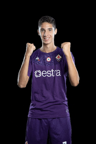 Serie A Soccer GIF by ACF Fiorentina
