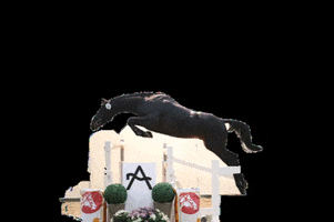 Voglgut horse jumping austria osterreich GIF