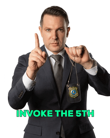 LawByMike 5th plead the fifth plead the 5th law by mike GIF
