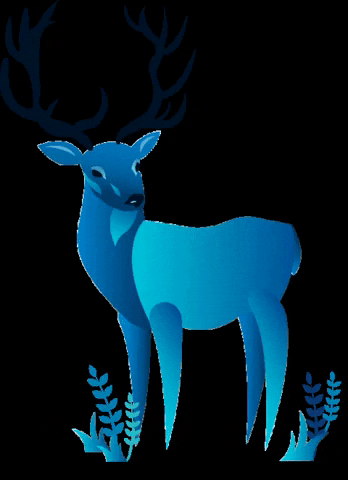 Trento Film Festival GIF