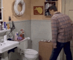 Season 9 Toilet GIF by Friends