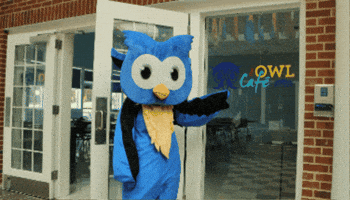 Look Point GIF by Middlesex Community College