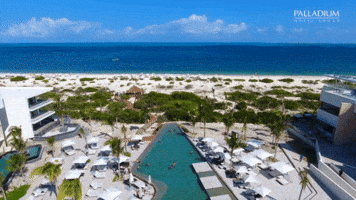 Luxury Hotel Beach GIF by PalladiumHotelGroup