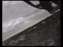 Rollercoaster GIF