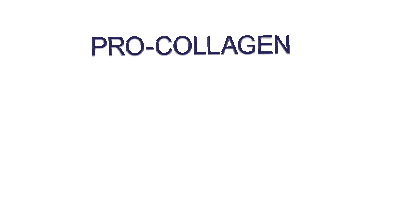 Pro-Collagen Forever Sticker by Elemis