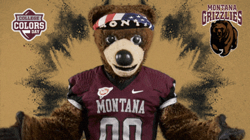 College Sports Montana GIF by College Colors Day