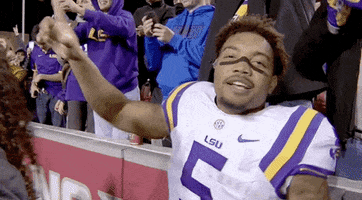 lsu tigers love GIF by SEC Network