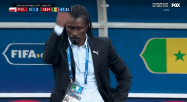 World Cup Yes GIF