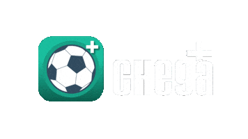 Soccer Marca Sticker by Chega+