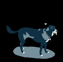 empressavenuemedia GIF