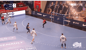 Goal Stop GIF by SASP FENIX Toulouse Handball