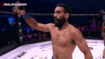 Khabib Nurmagomedov Ufc GIF
