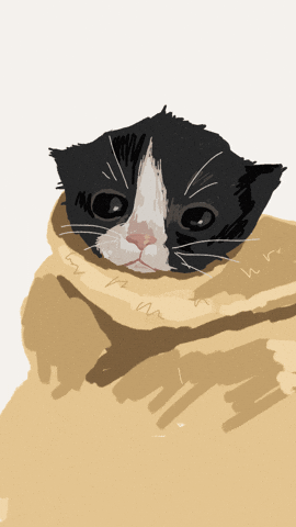 Cat GIF
