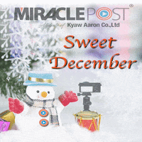 GIF by miraclepost