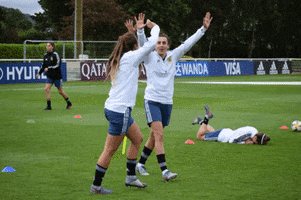 World Cup Futbol GIF by Selección Argentina
