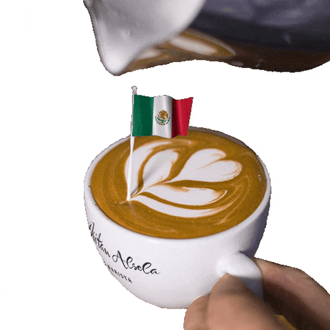 dritanalsela coffee mexico flag country GIF