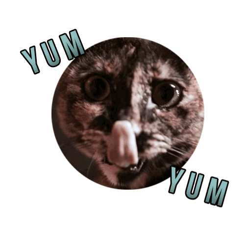 Cat Sticker