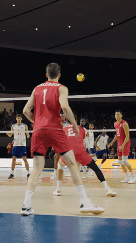 Sport What GIF by Volleyball World