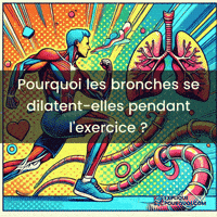 expliquepourquoi-exercice-dilatation-bronches-dD0SoE67ADPa3vVC1J