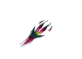 opercoule GIF