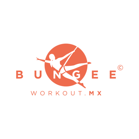 Bungeemx Sticker by The Bungee Workout