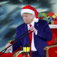 Flying Driving Home For Christmas GIF
