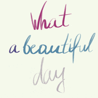 What A Wonderful Day GIFs - Find & Share on GIPHY
