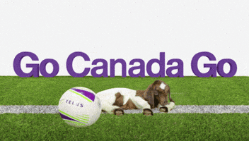 World Cup Soccer GIF by TELUS