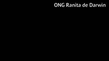Darwins Frog Chile GIF by Ranita de Darwin ONG