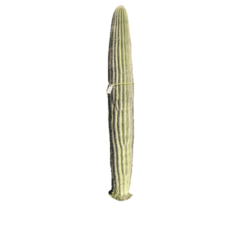 Ocotillo Joe LLC Sticker