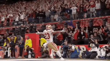 Super Bowl Sport GIF by NFL