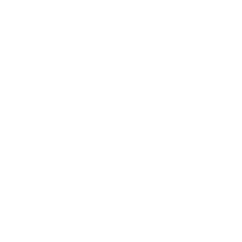 Disney Disneyland Sticker
