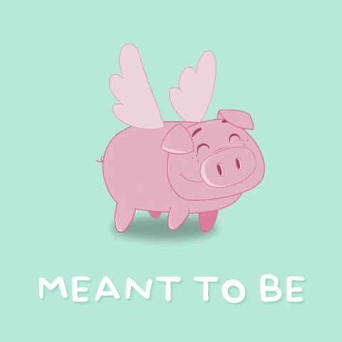Flying Pig Alignment GIF by PositivelyPigasus